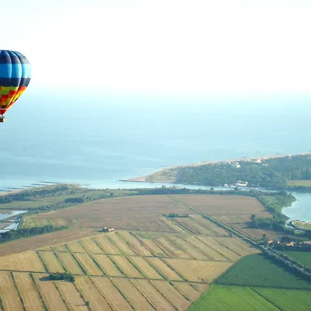 Functional With Shared Pool * ביביונה