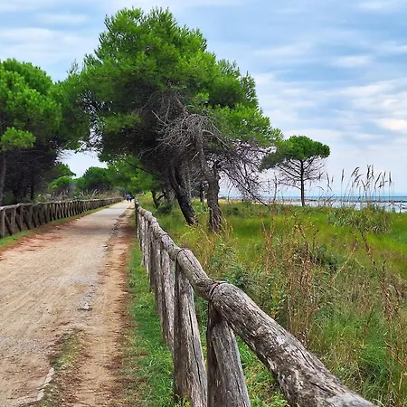 Functional 1 Bedroom With Shared Pool Bibione